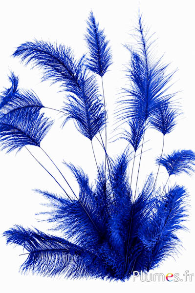 Struzzo Body Split - 33-38 cm - blu-grigio